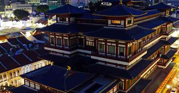 梯子软件