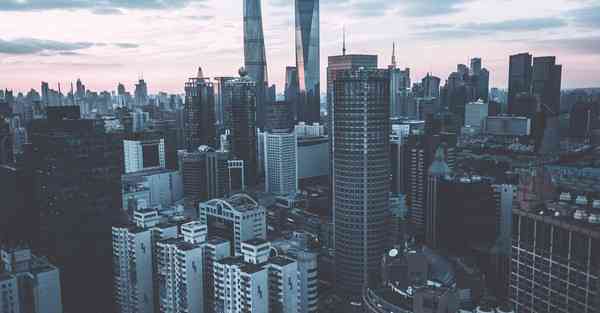 免费布谷加速器